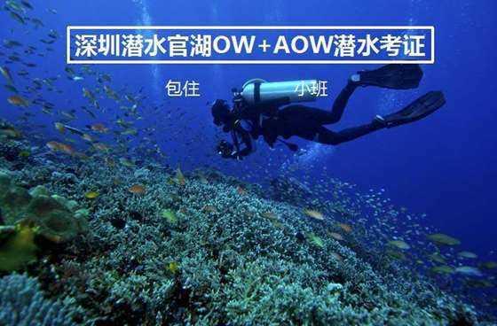 逃离幻想金字塔
